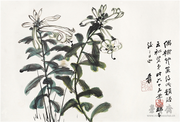张大千(1899-1983)  玉簪花