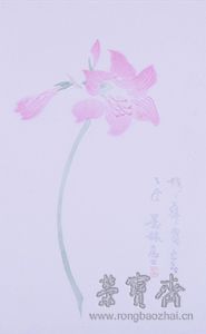 王师子花卉