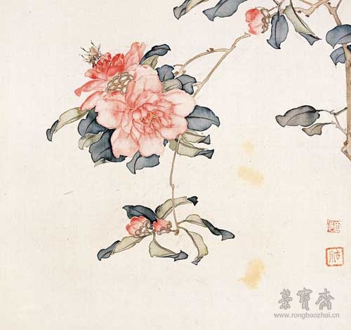 清 居廉 山茶蜜蜂 26cm×25cm 1873 广州艺术博物院藏