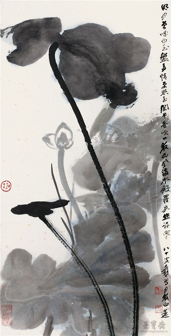 *57张大千月夜白莲 设色纸本镜心