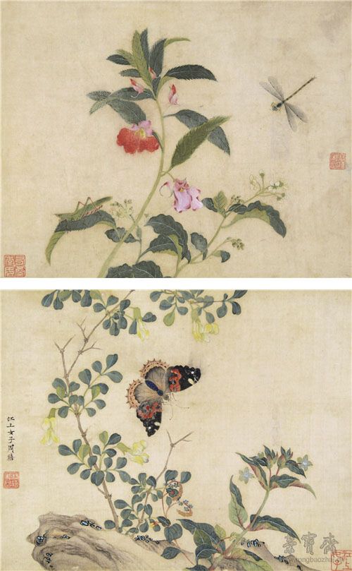 清 周淑禧 花卉草虫图册之一、之二 22.1cm×27.8cm 纸本设色 南京博物院藏