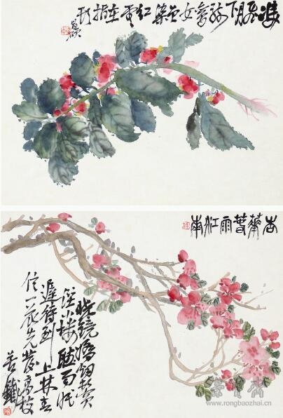 吴昌硕 花卉册页之四、五