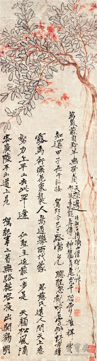 清 石涛(传) 丹荔图