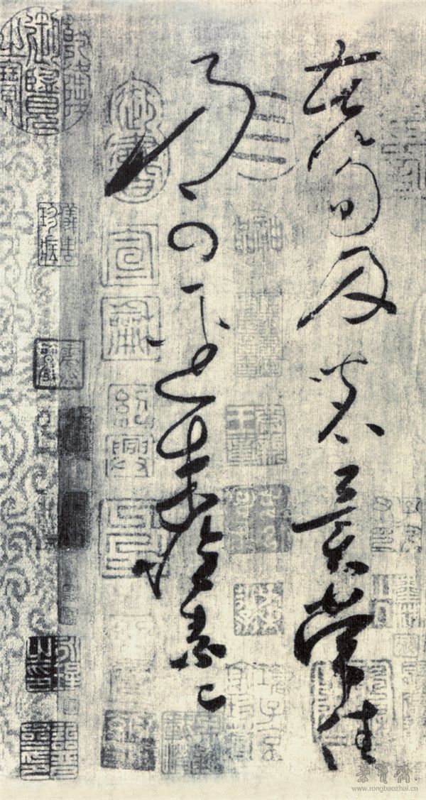 唐 怀素 苦笋帖