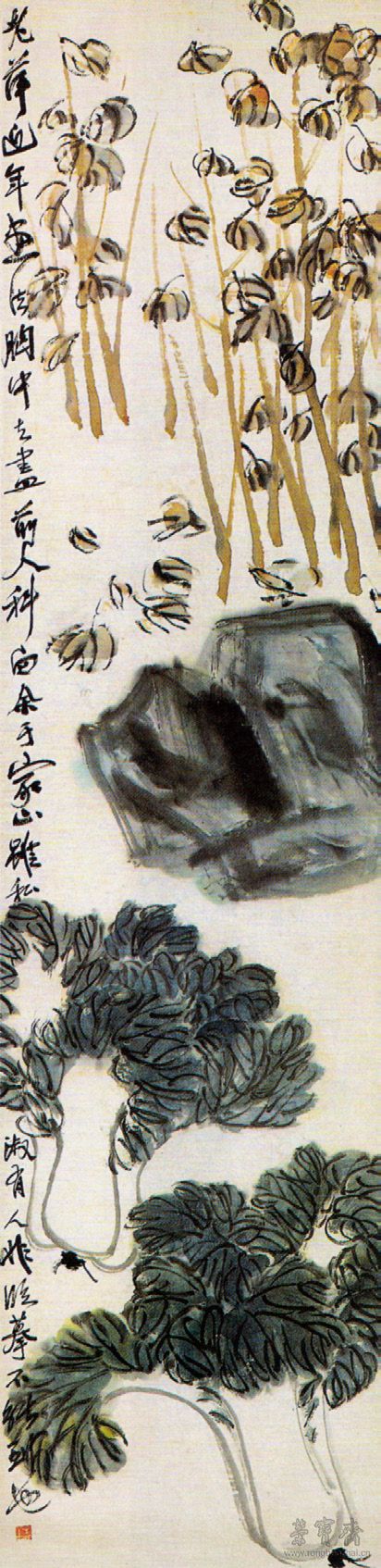 图10 齐白石 白菜北京画院藏