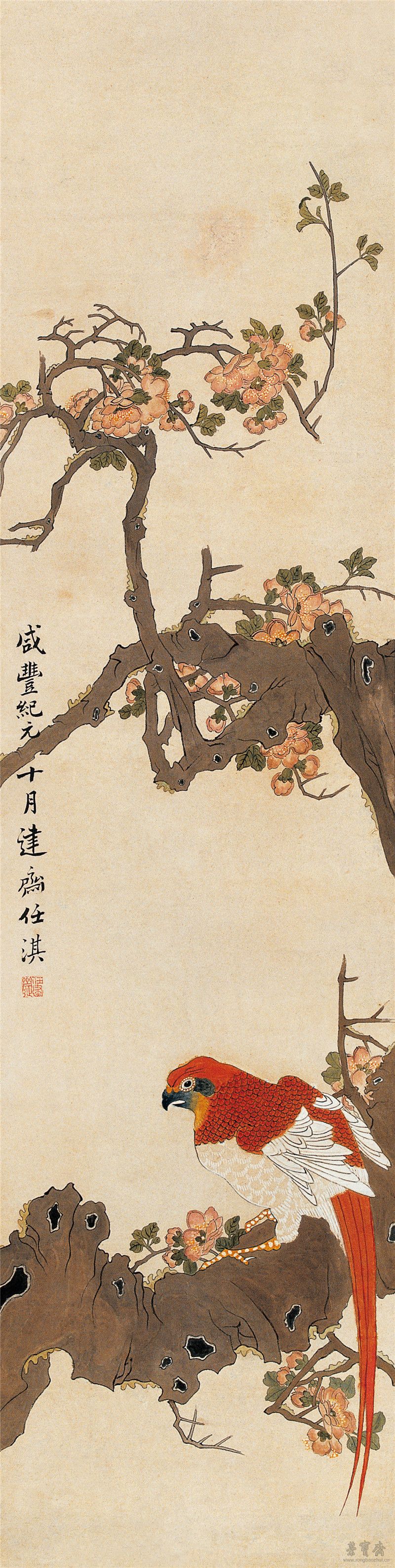 任淇《桃花鹦鹉》122.4cm×30cm 1851年
