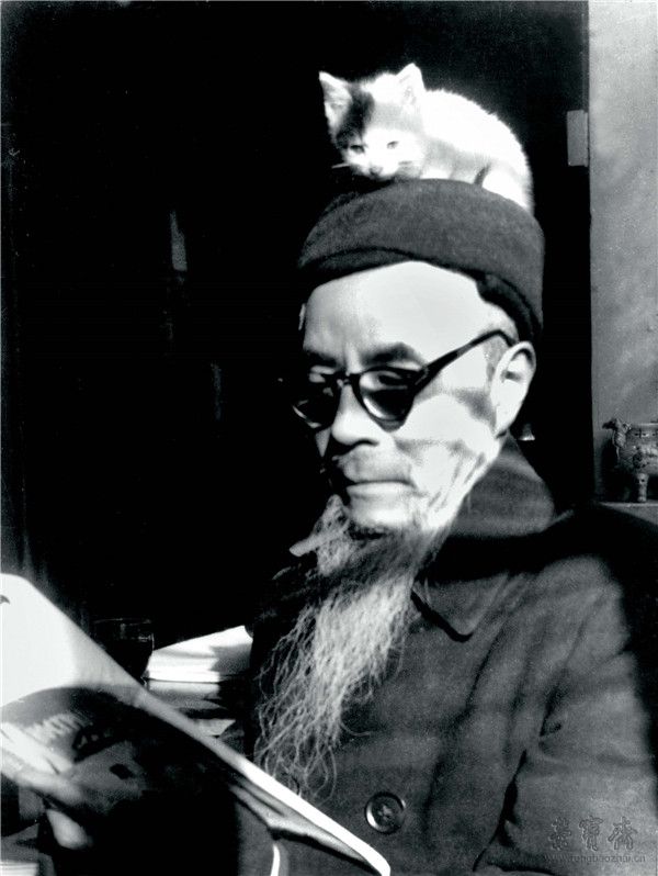 丰子恺与猫