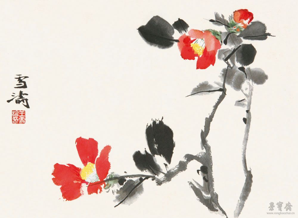 王雪涛《茶花》