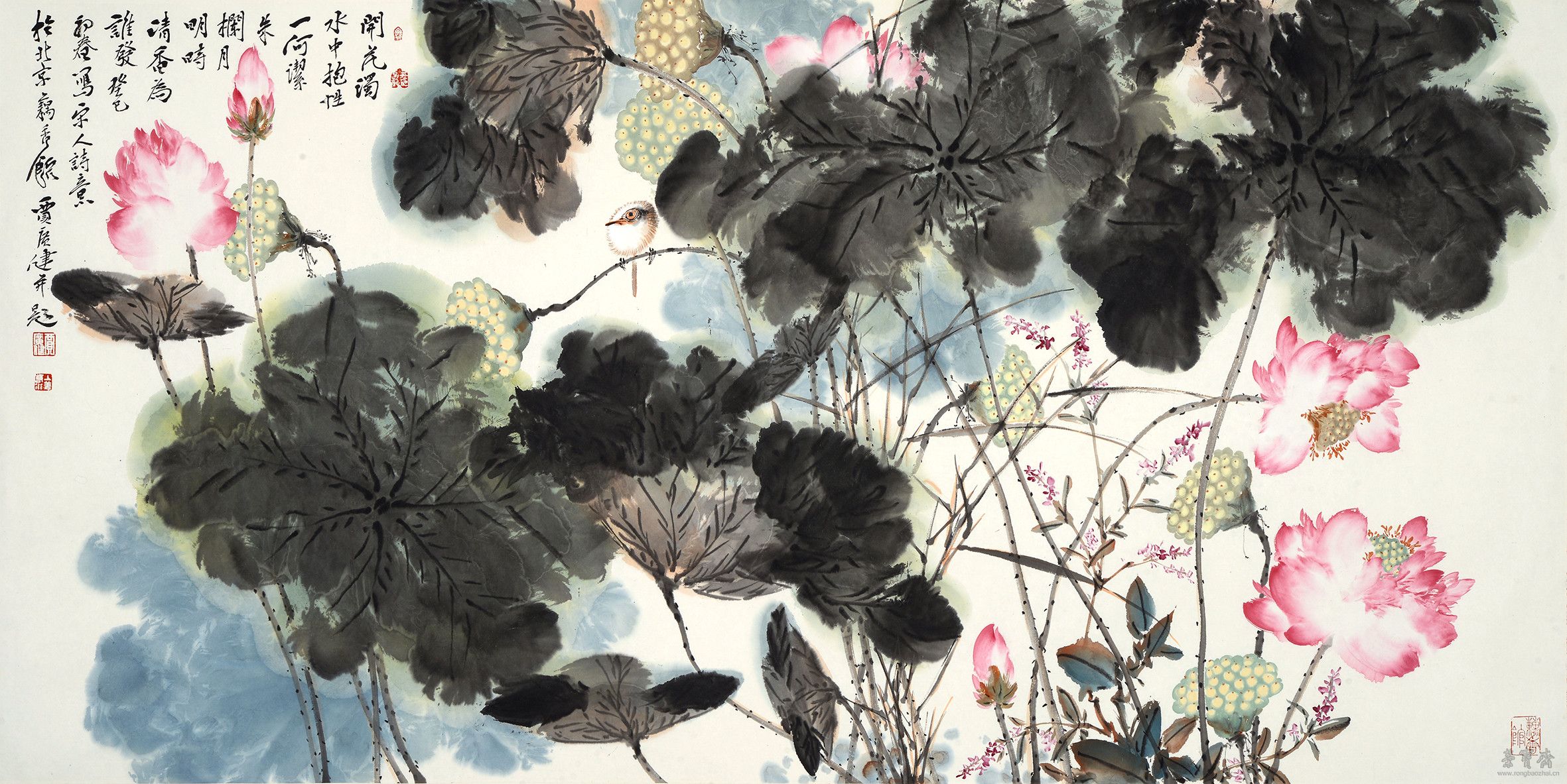 贾广健 开花浊水中 68cm×137cm 设色纸本