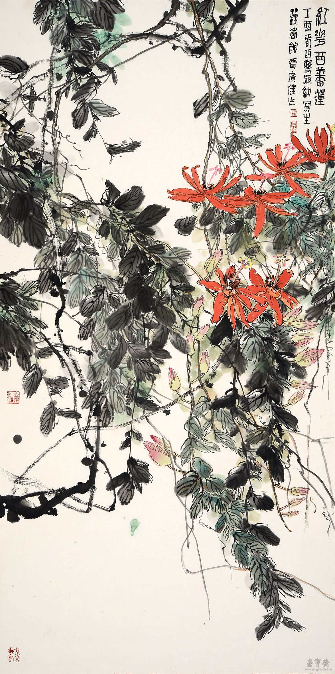 贾广健 红花西番莲 138cm×69cm 设色纸本