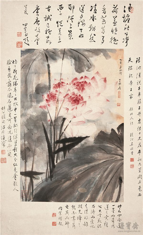 张大千　《红莲图》　72cm×43.5cm　1899-1983