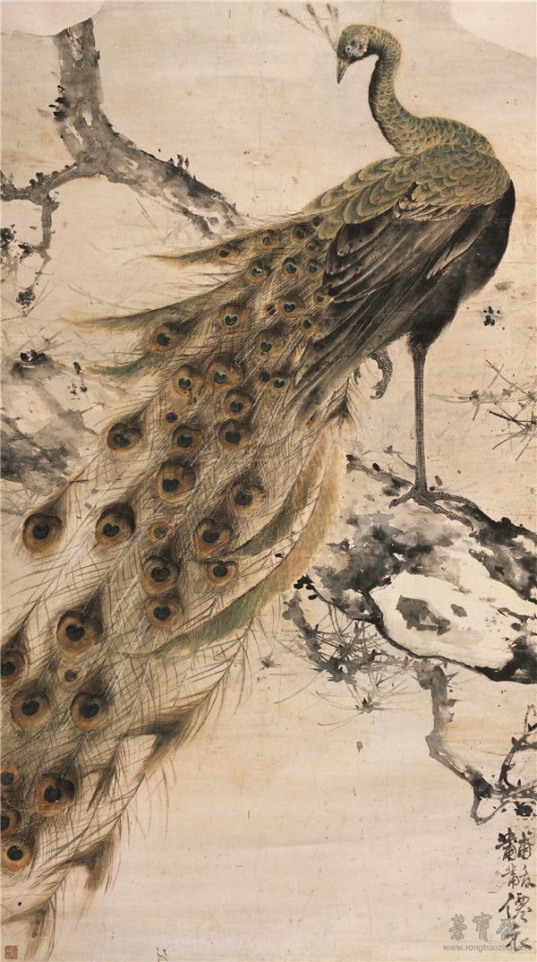 高奇峰 孔雀图 143cm×80cm 广州艺术博物院藏