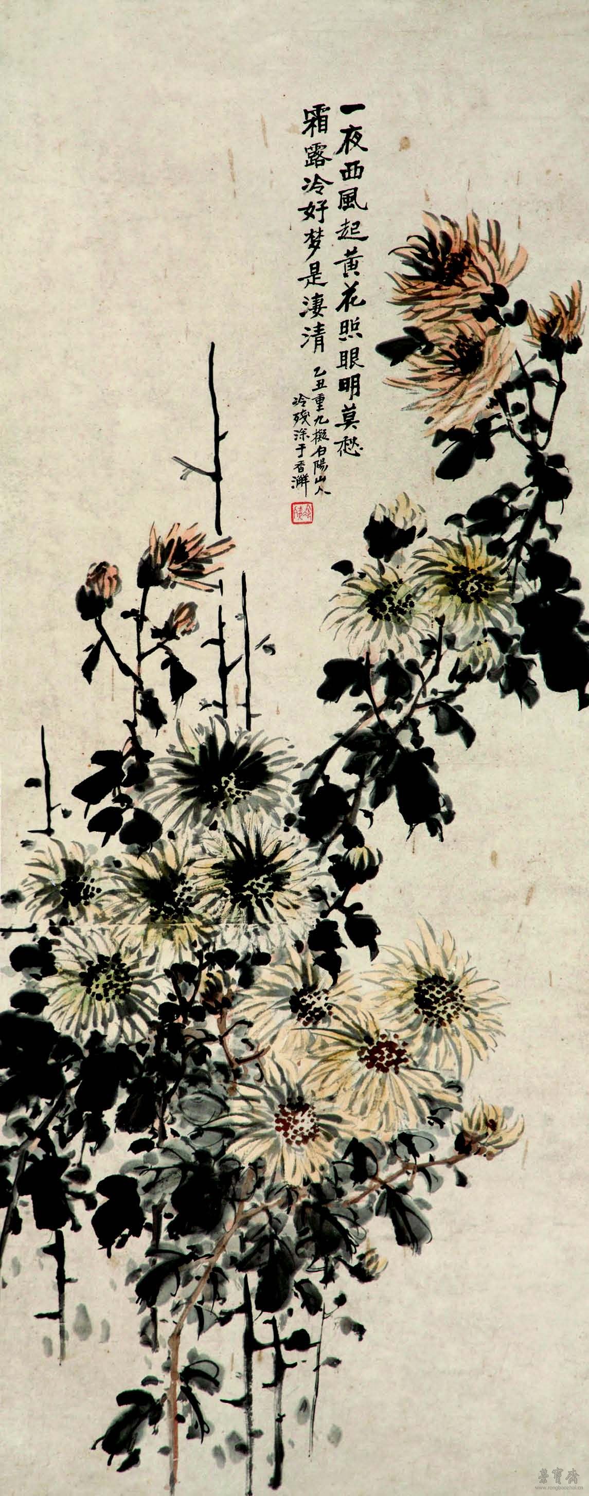 潘达微 菊花图 116cm×46cm 纸本设色 广东省博物馆藏