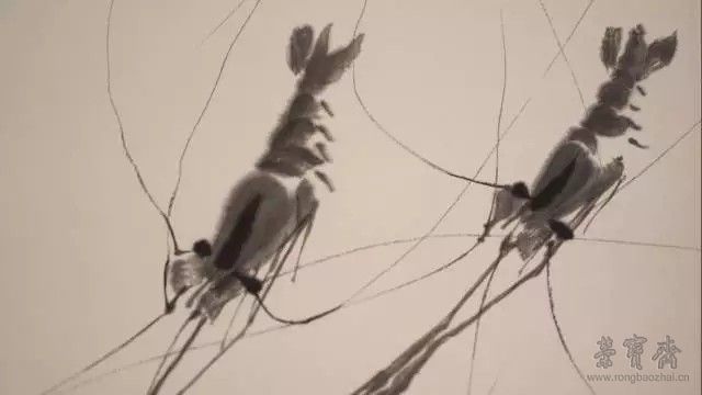 荣宝斋木版水印作品:齐白石《虾》(局部)