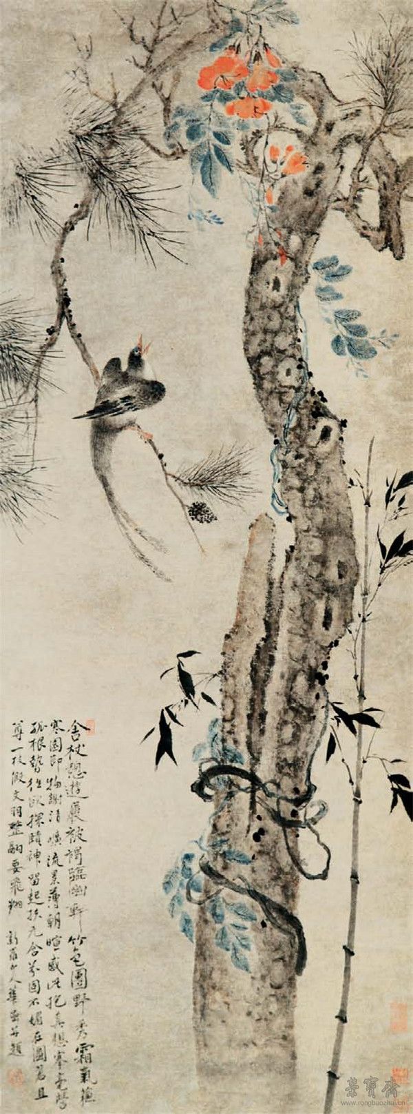 清 华喦 松树绶带鸟 55cm×149cm