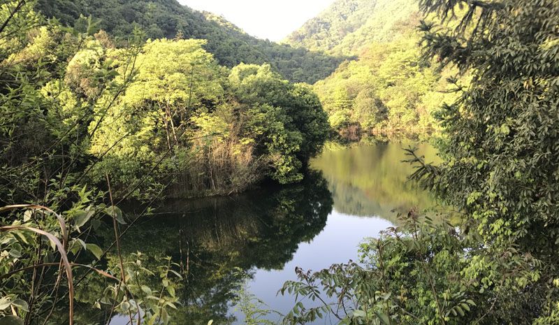 不忘初心 砥砺前行 | 百年传承  匠心载道