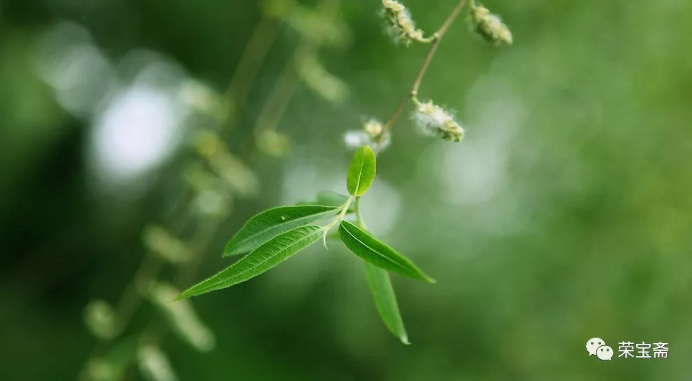 荣宝斋教育｜节气与生活 • 清明——中国传统节日节气文化论坛主题讲座活动