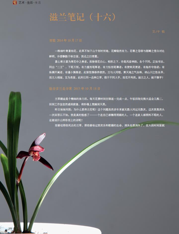 QQ截图20200619210519