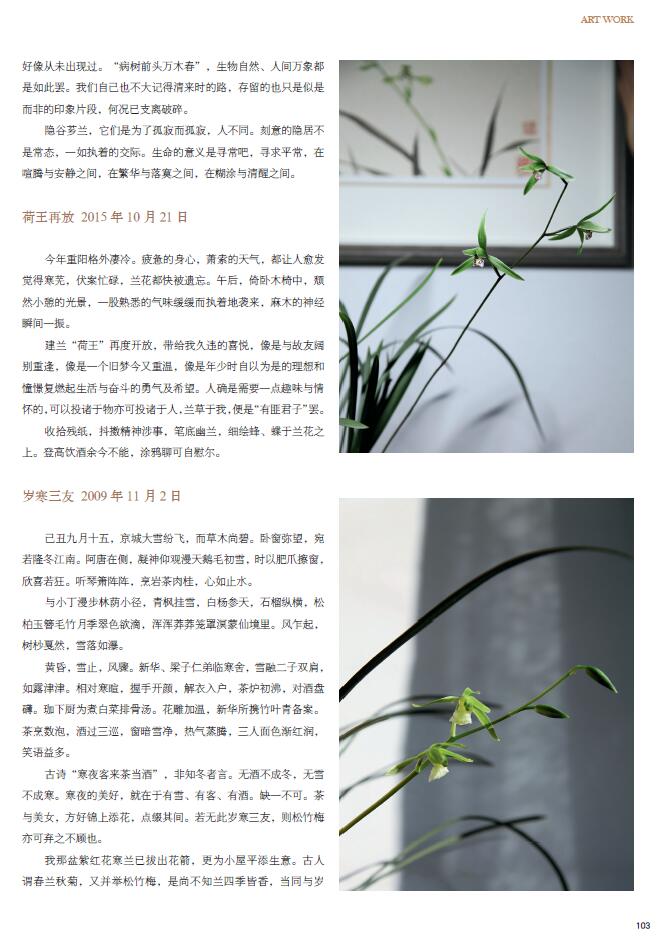 QQ截图20200619210533