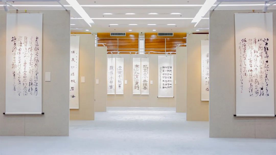 现场展览照片