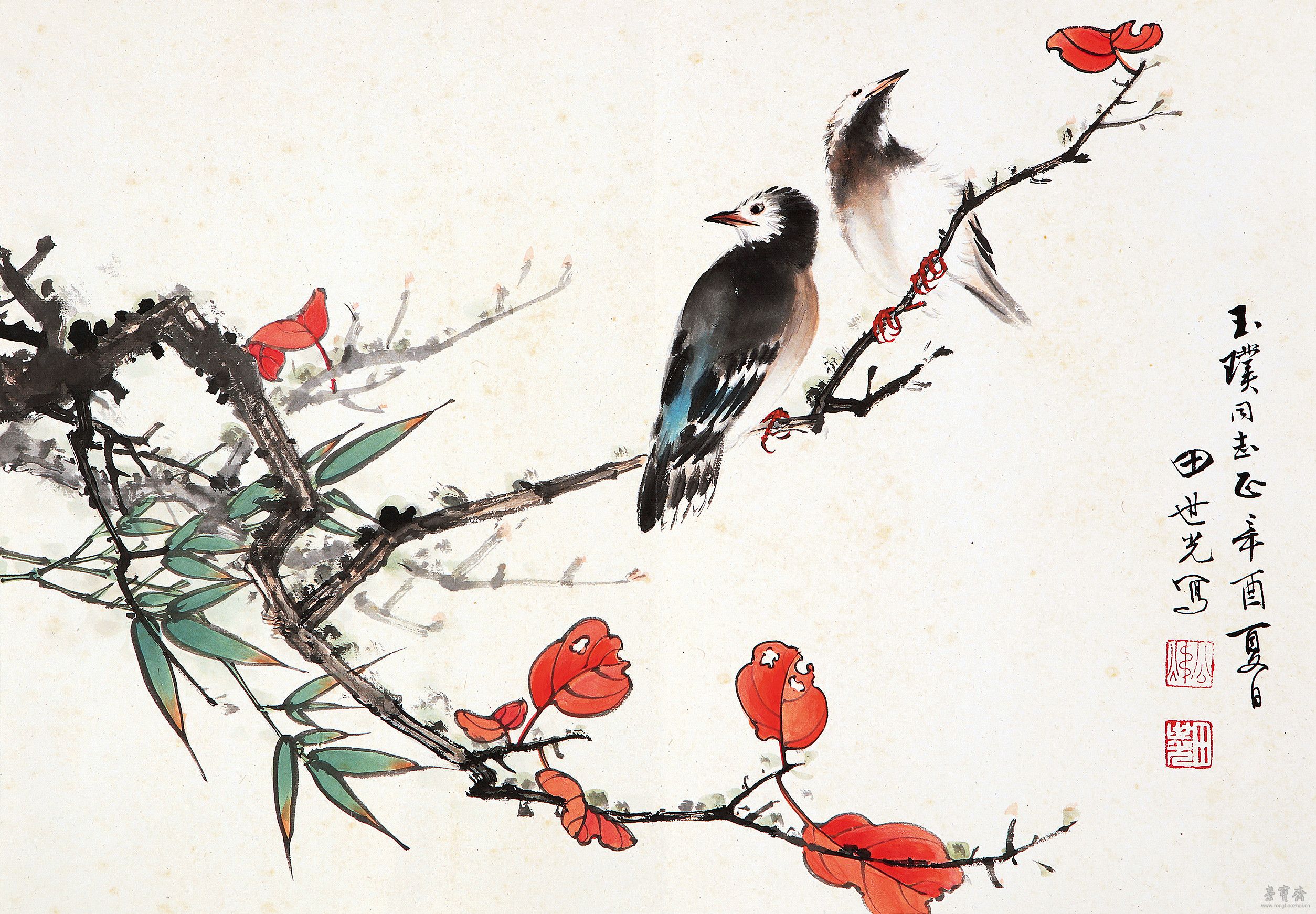 红叶小鸟