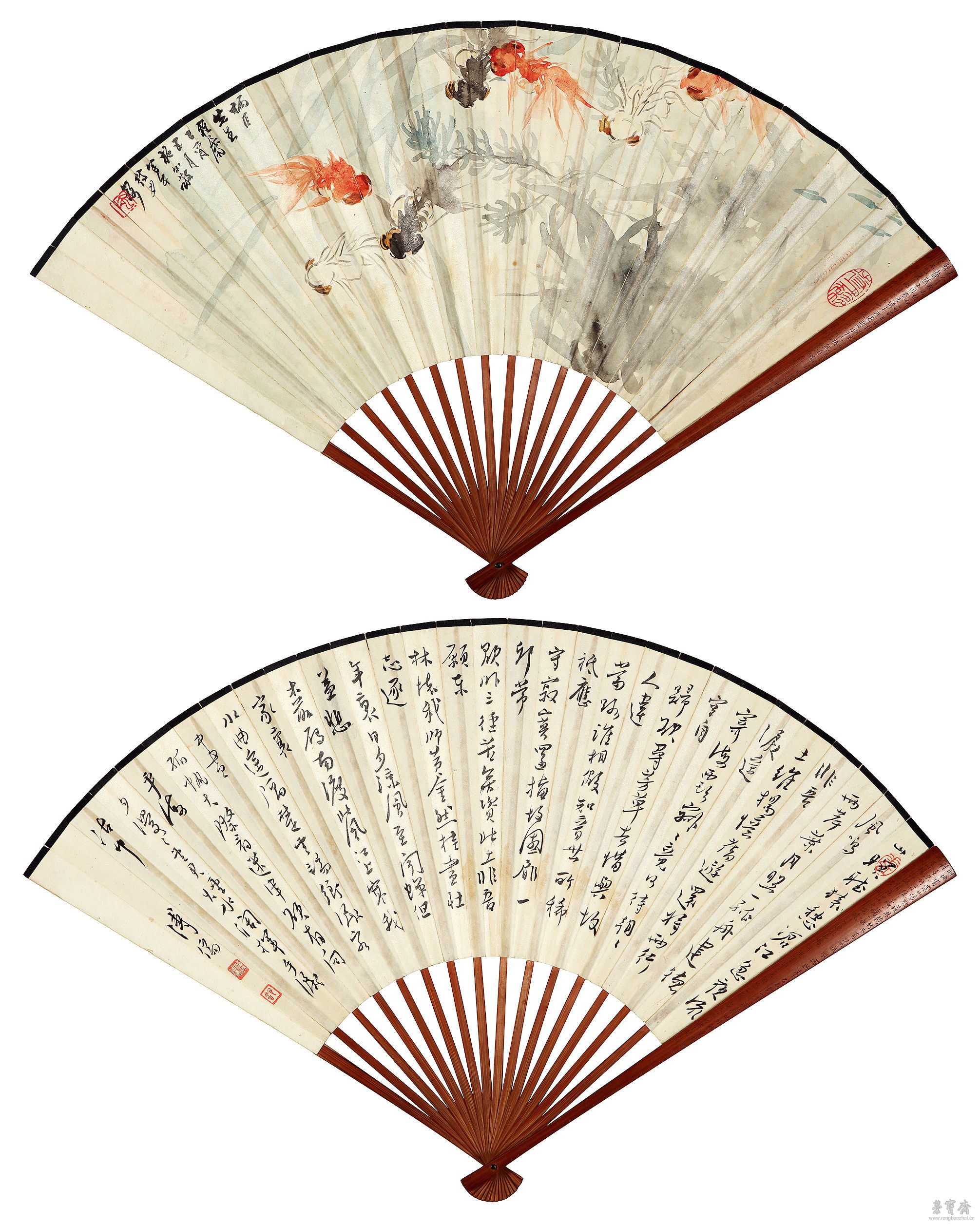 行书、金鱼