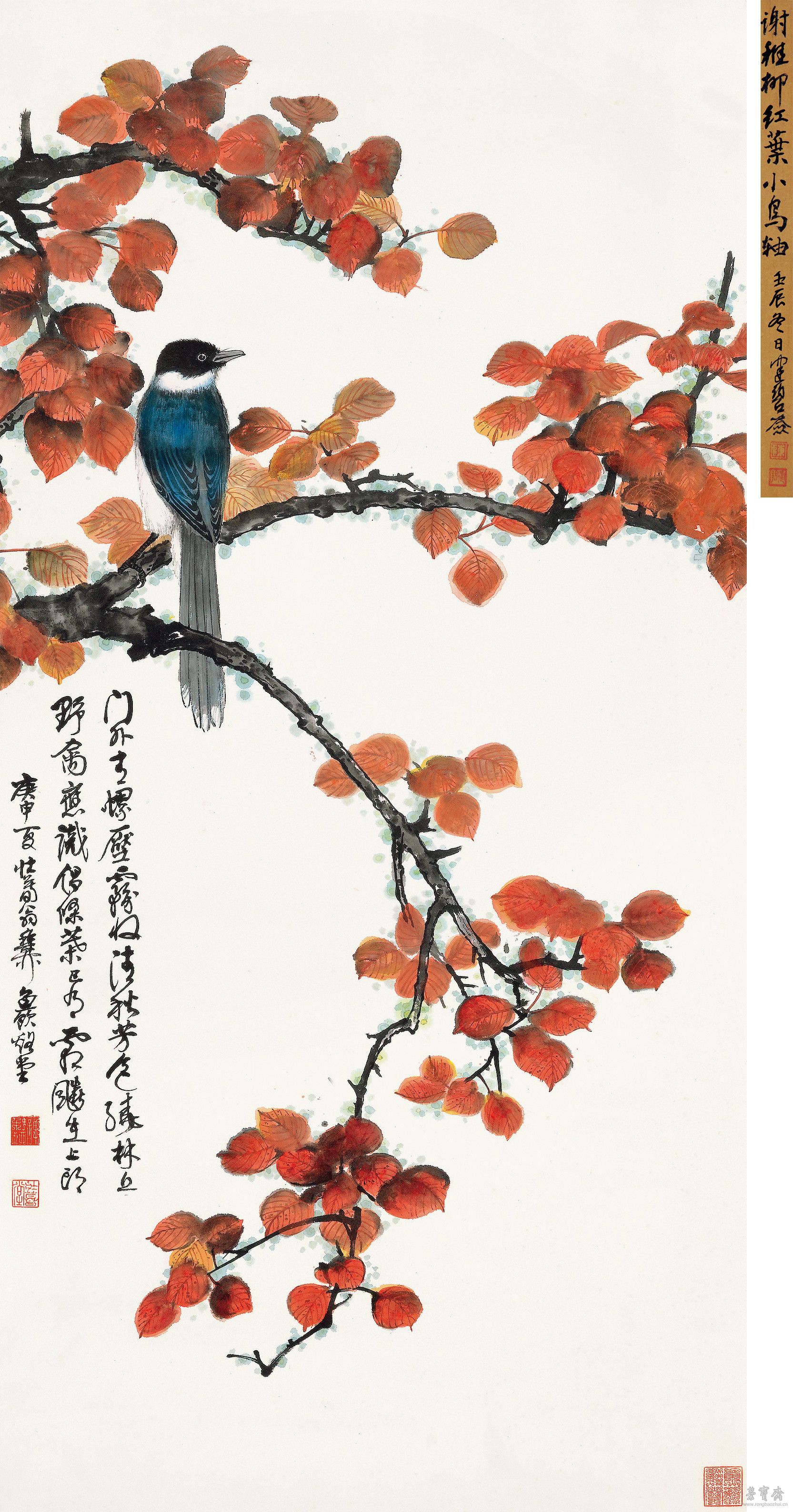 红叶小鸟