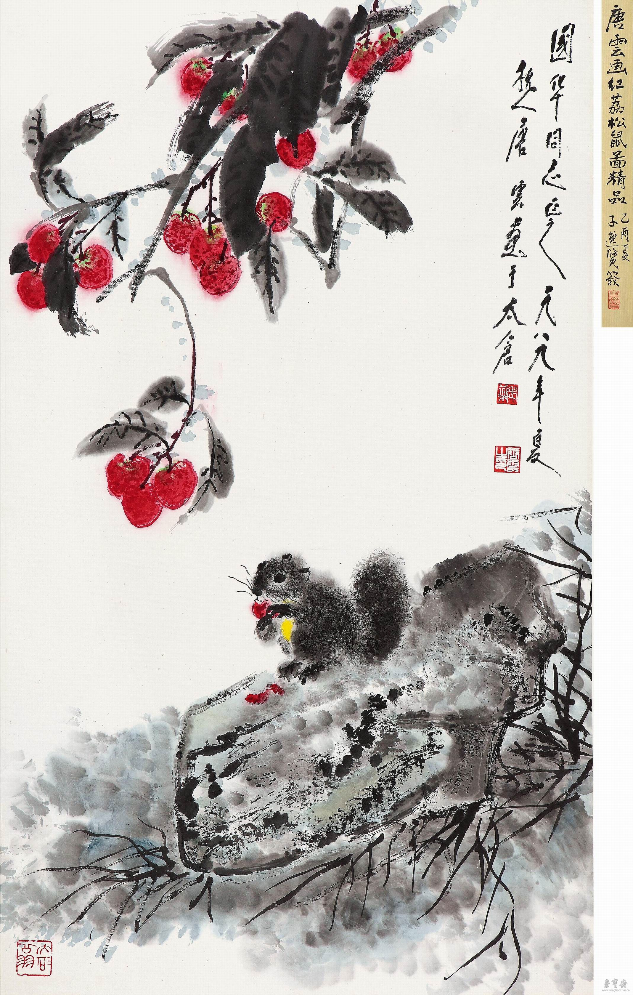 红荔松鼠