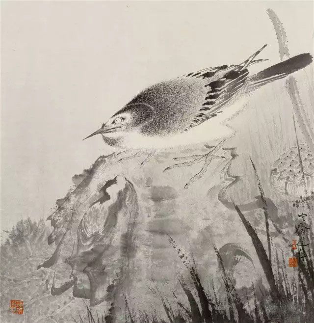 秋塘鹡鸰图 33cm×34cm 2017 纸本水墨