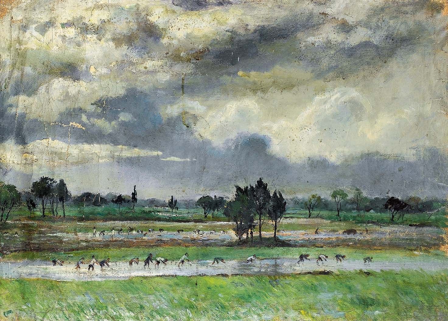 苏天赐 插秧 布面油画 51cm×71cm 1955 南京博物院藏