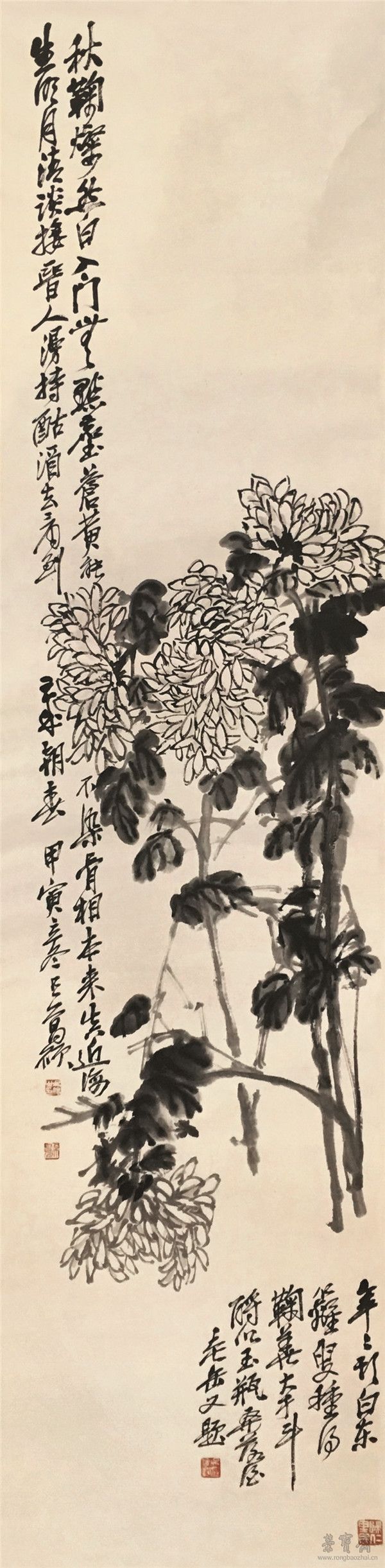 吴昌硕《秋菊》