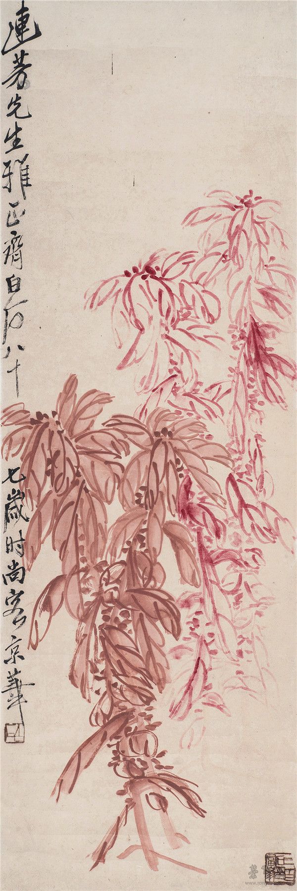 齐白石 1864-1957  雁来红
