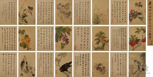 蒋廷锡 花果禽鸟对题册十二开 25.5cm×17.5cm×24